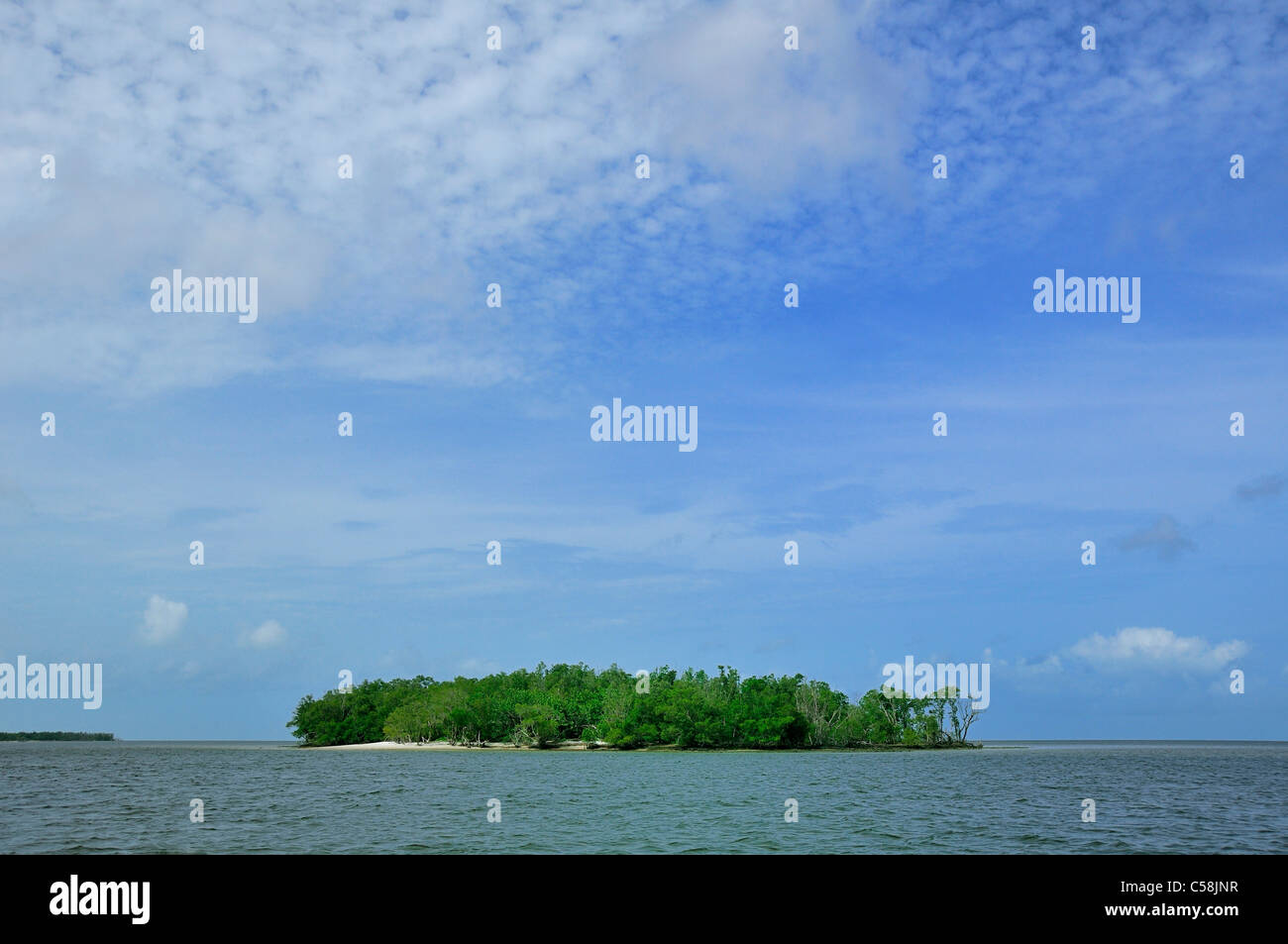 Isla, Everglades National Park, el mar, el agua, Florida, USA, Estados Unidos, América, naturaleza Foto de stock