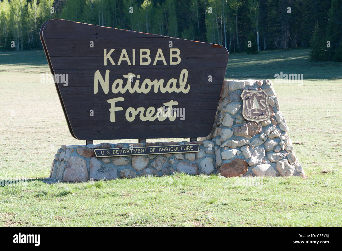 Bosque Nacional Kaibab firmar en el borde norte del parque nacional Gran Cañón Foto de stock