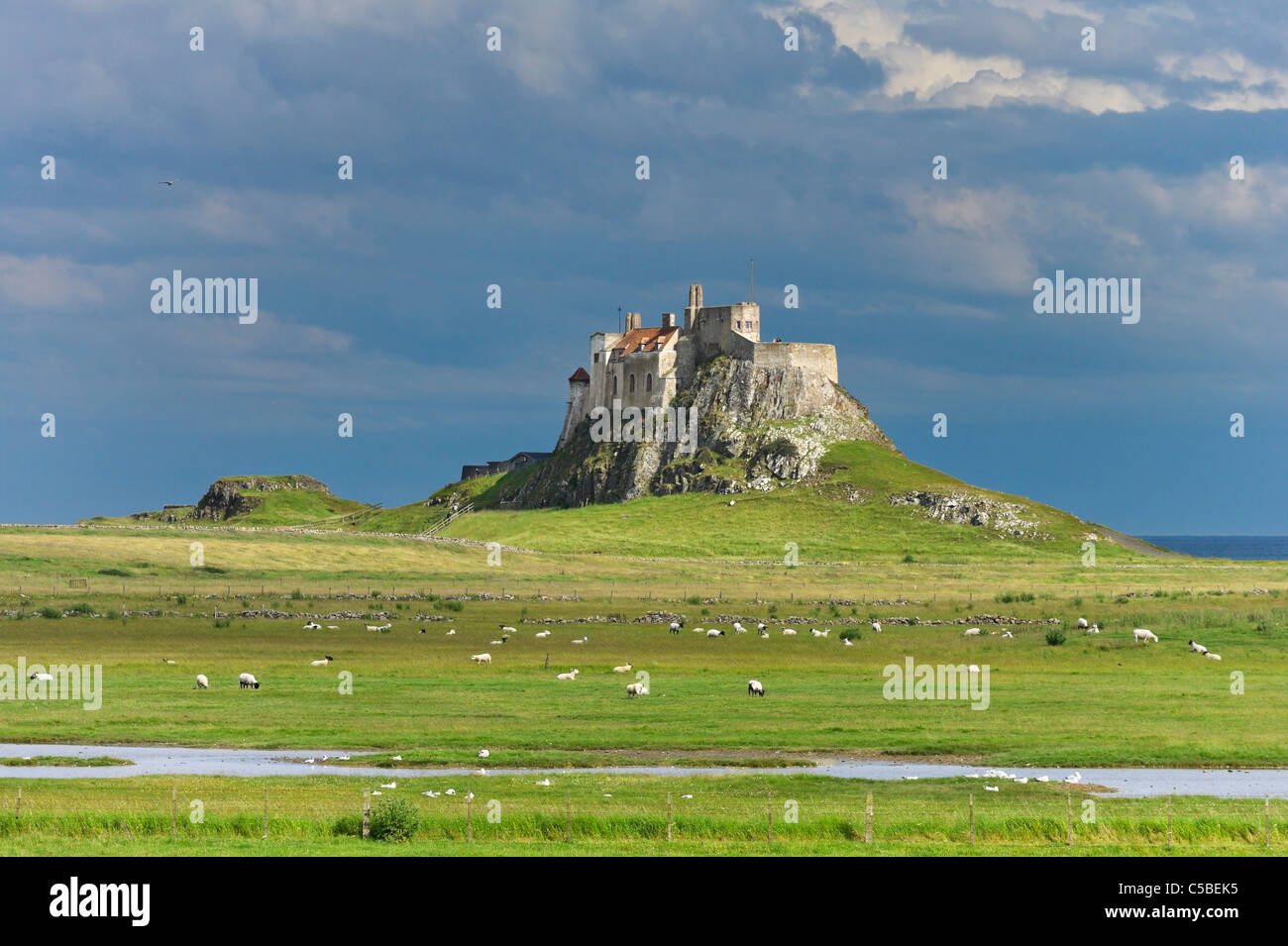 Castillo de Lindisfarne, Holy Island, Northumberland, al Noreste de Inglaterra, Reino Unido. Foto de stock