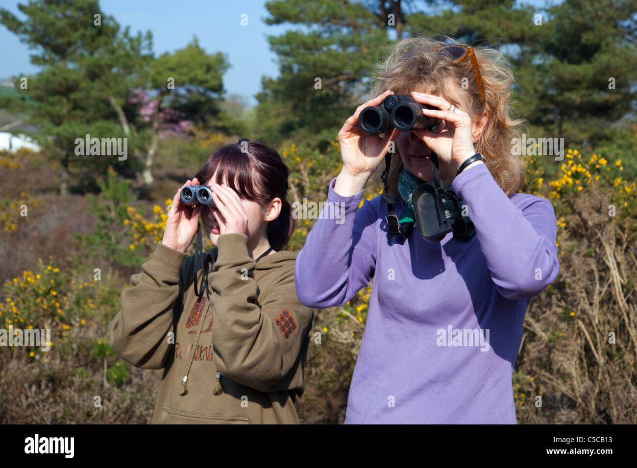 Mujer y Niña avistaje de aves; Cornwall Foto de stock