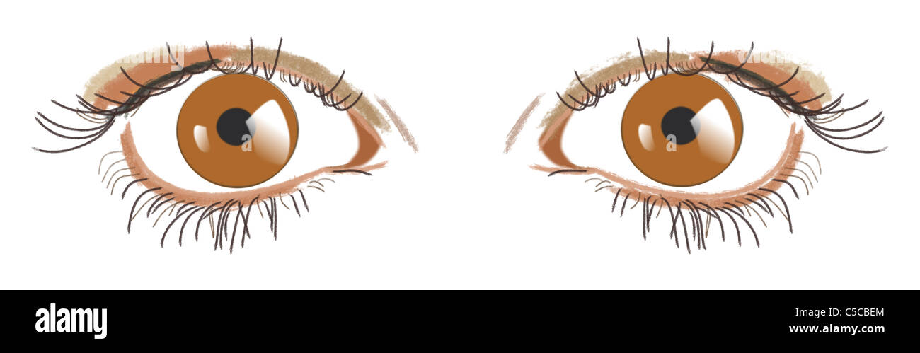 Ojos pupila Imágenes recortadas de stock - Alamy Ojos pupila Imágenes recortadas de stock - Alamy