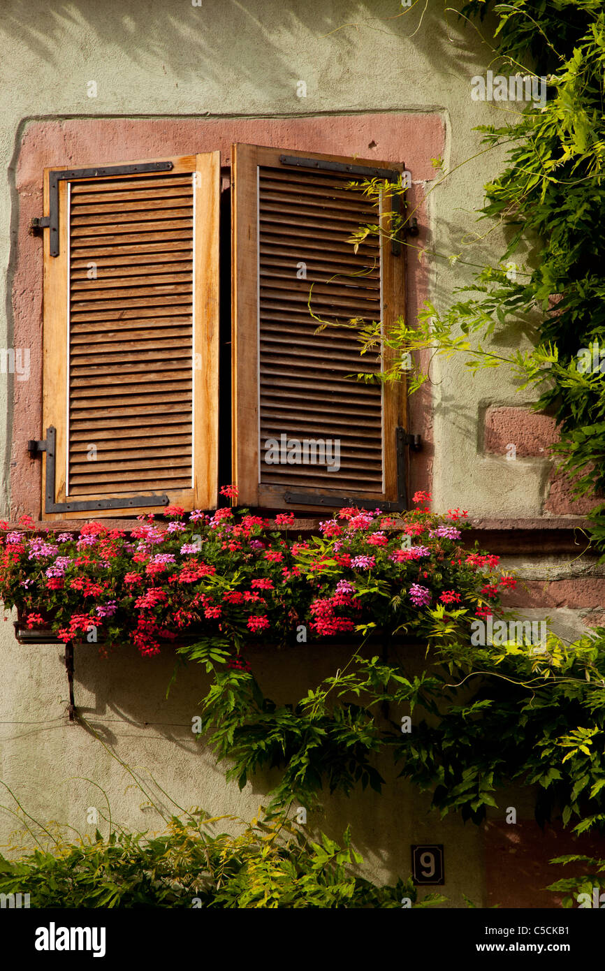 La luz del sol por la mañana temprano en persianas y cuadro de flores en Riquewihr, a lo largo de la ruta del vino de Alsacia Haut-Rhin France Foto de stock