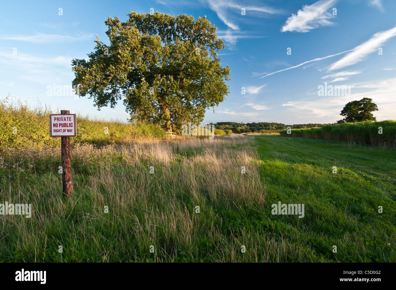 Un signo de "no hay derecho de paso público" junto a un amplio margen de campo y un cultivo de hierba de elefante verde (Miscanthus), Holdenby, Northamptonshire, Inglaterra. Foto de stock