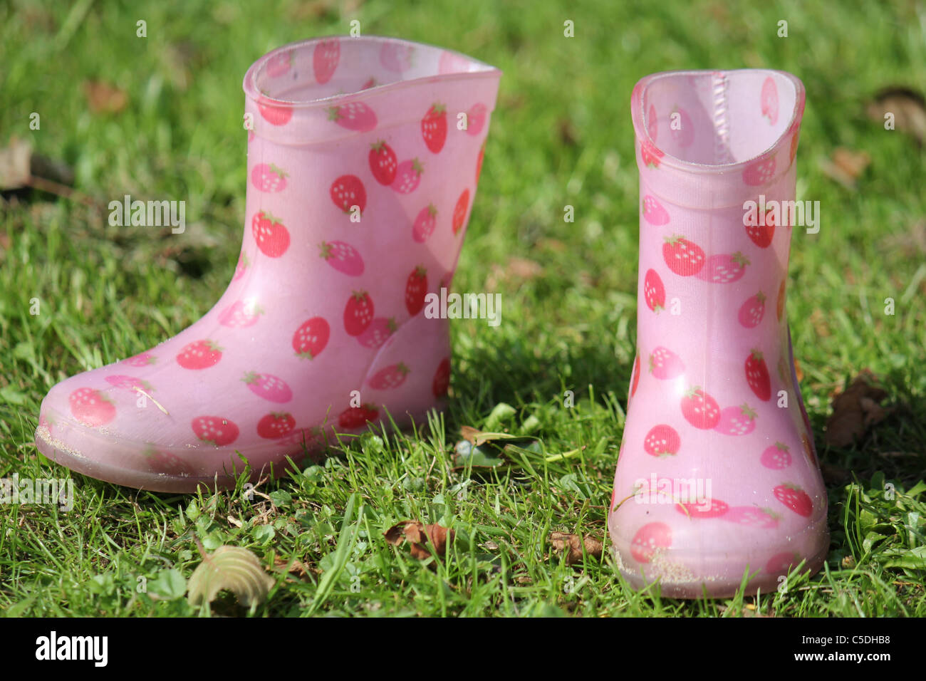 Dos pequeños rosa fresa botas de caucho en el pasto verde Fotografía de  stock - Alamy