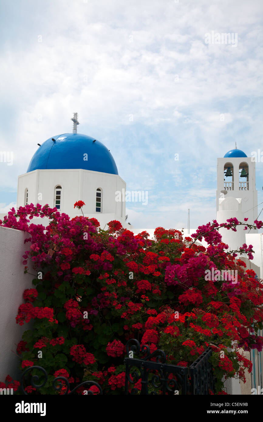 Thira, Santorini, la isla griega, Grecia, Europa icónico típicas cúpulas  azules de la iglesia, flores rojas Fotografía de stock - Alamy