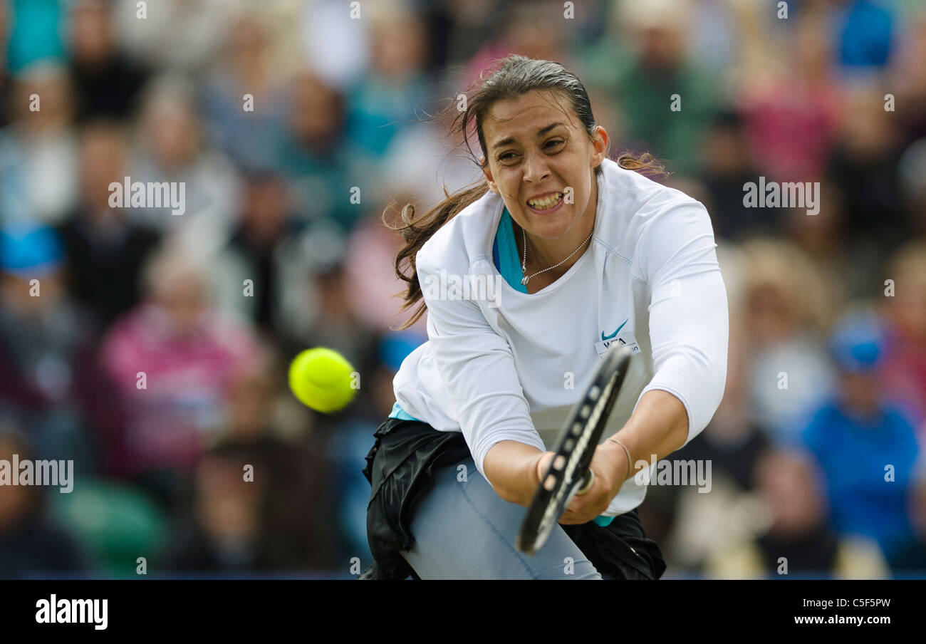 Marion Bartolli de Francia en acción. Foto de stock