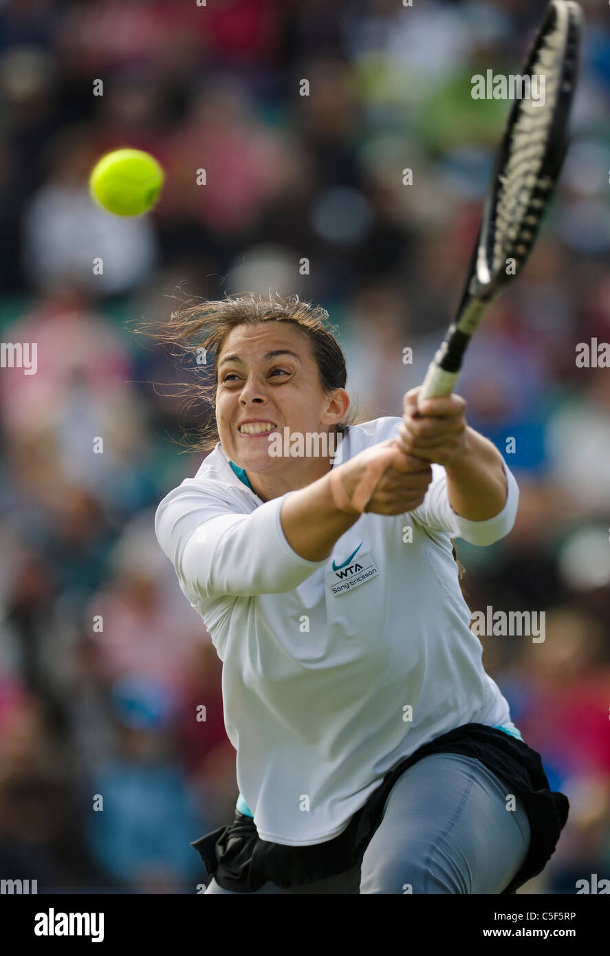 Marion Bartolli de Francia en acción. Foto de stock