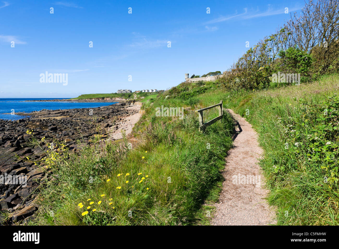 La ruta costera de Fife justo a las afueras del pueblo pesquero de Crail, East Neuk, Fife, Escocia, Reino Unido Foto de stock