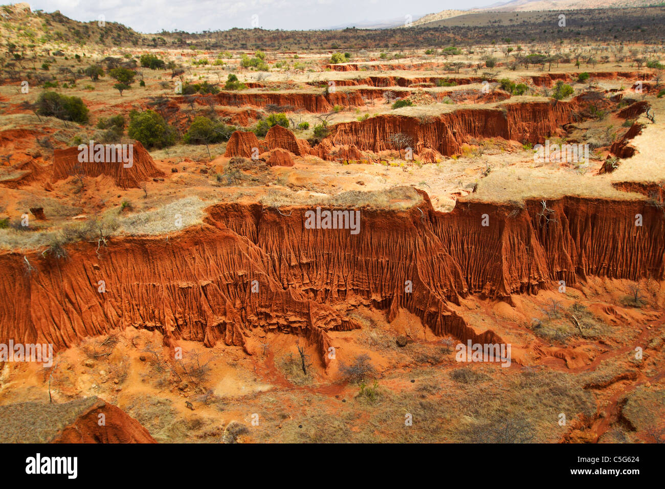 La erosión del suelo crea patrones complejos,Kenya Foto de stock