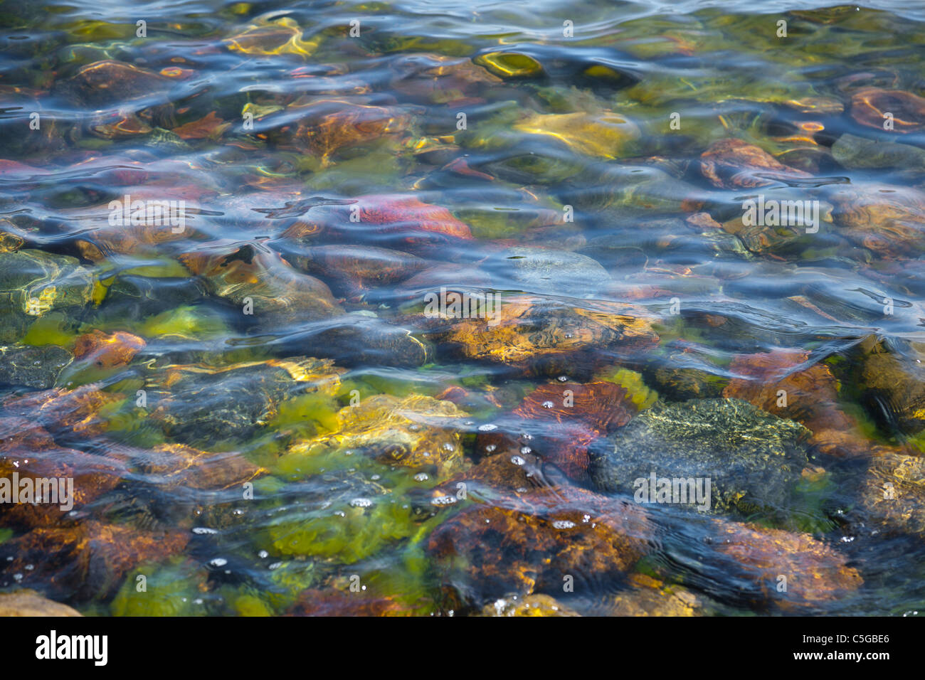 Close-up de piedras y algas bajo la superficie del agua. Foto de stock