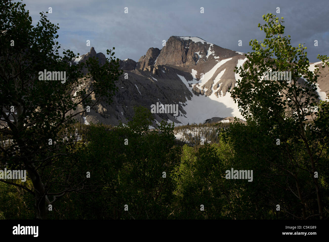 Baker, Nevada - Wheeler Peak y el Glaciar de roca en el Great Basin National Park. Foto de stock