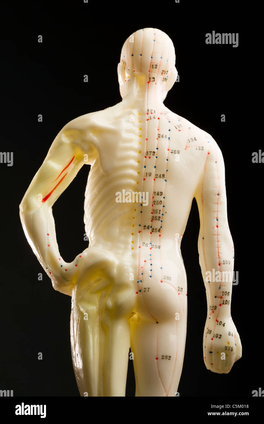 Muñeca de acupuntura fotografías e imágenes de alta resolución - Alamy