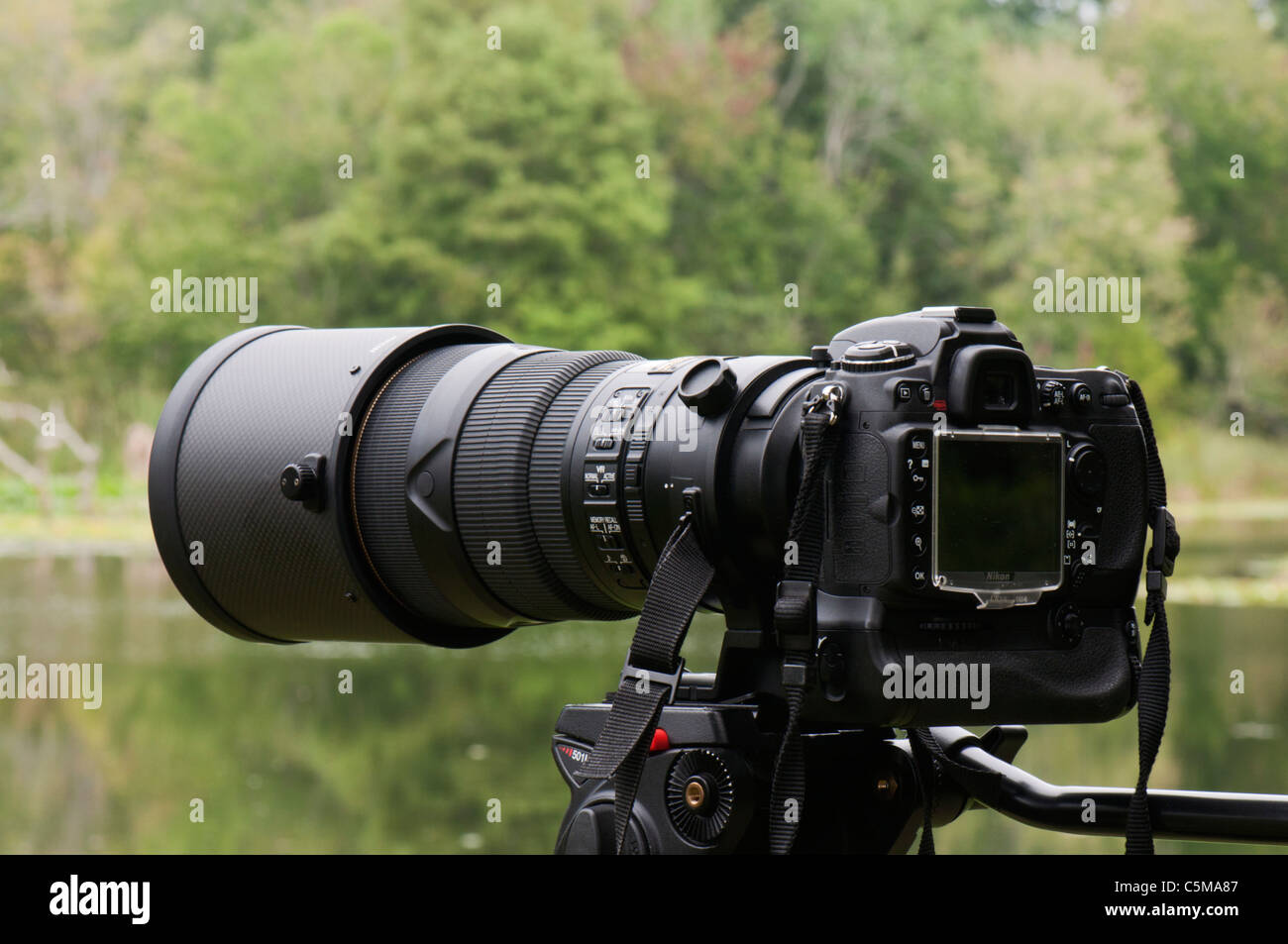 Nikon Nikkor 300mm 2.8 VRII lente telefoto montado en una Nikon D300 con el  MB-D10 batería y un Trípode Manfrotto 501HDV Fotografía de stock - Alamy