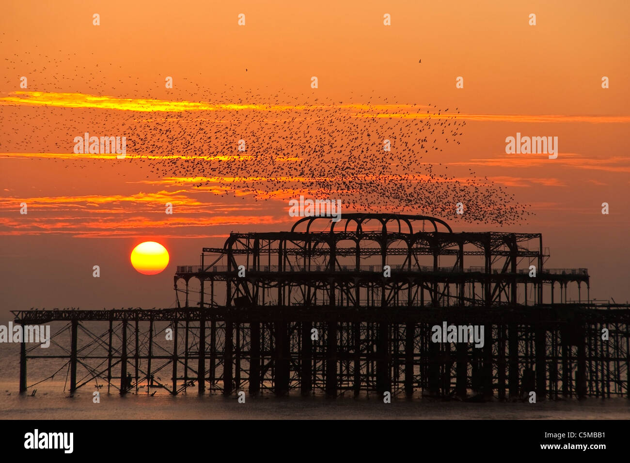 Bandada de estorninos durante el West Pier al atardecer, Brighton, REINO UNIDO Foto de stock
