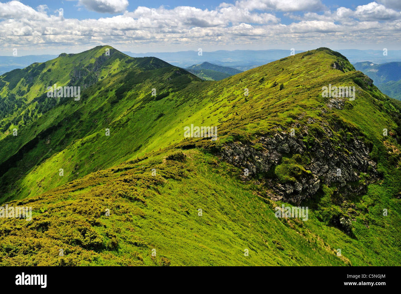 Rocky Ridge en Marmaroski Alpes. Los Cárpatos. Ucrania. Zakarpattya. Frontera rumana Foto de stock