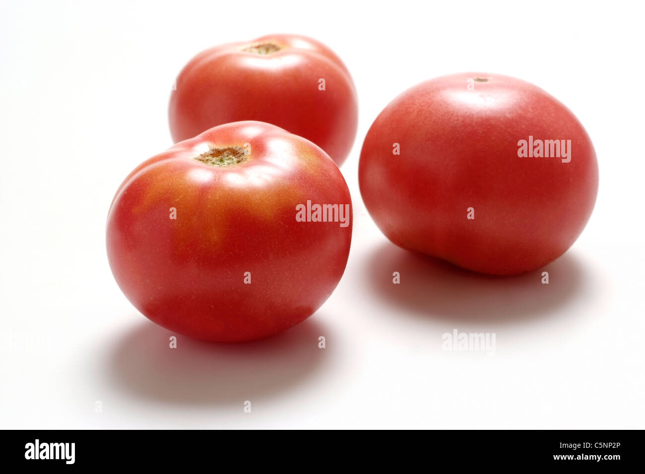 Variedades DE TOMATE: Tomate Rojo ruso Foto de stock