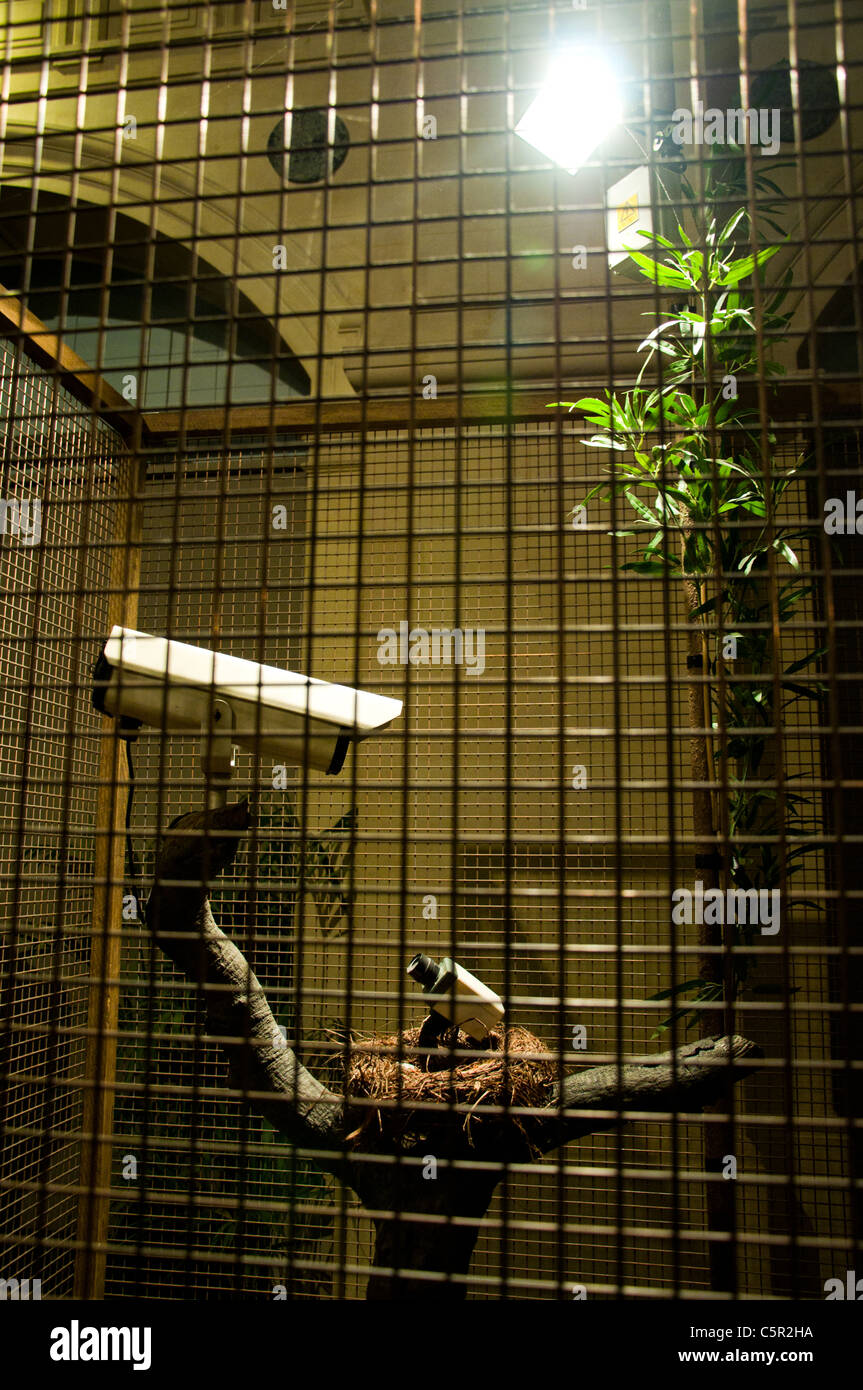 Banksy instalación de 'madre' cámara CCTV mirando hacia abajo sobre el "niño" cámara CCTV en un próximo, dentro de una jaula. Foto de stock