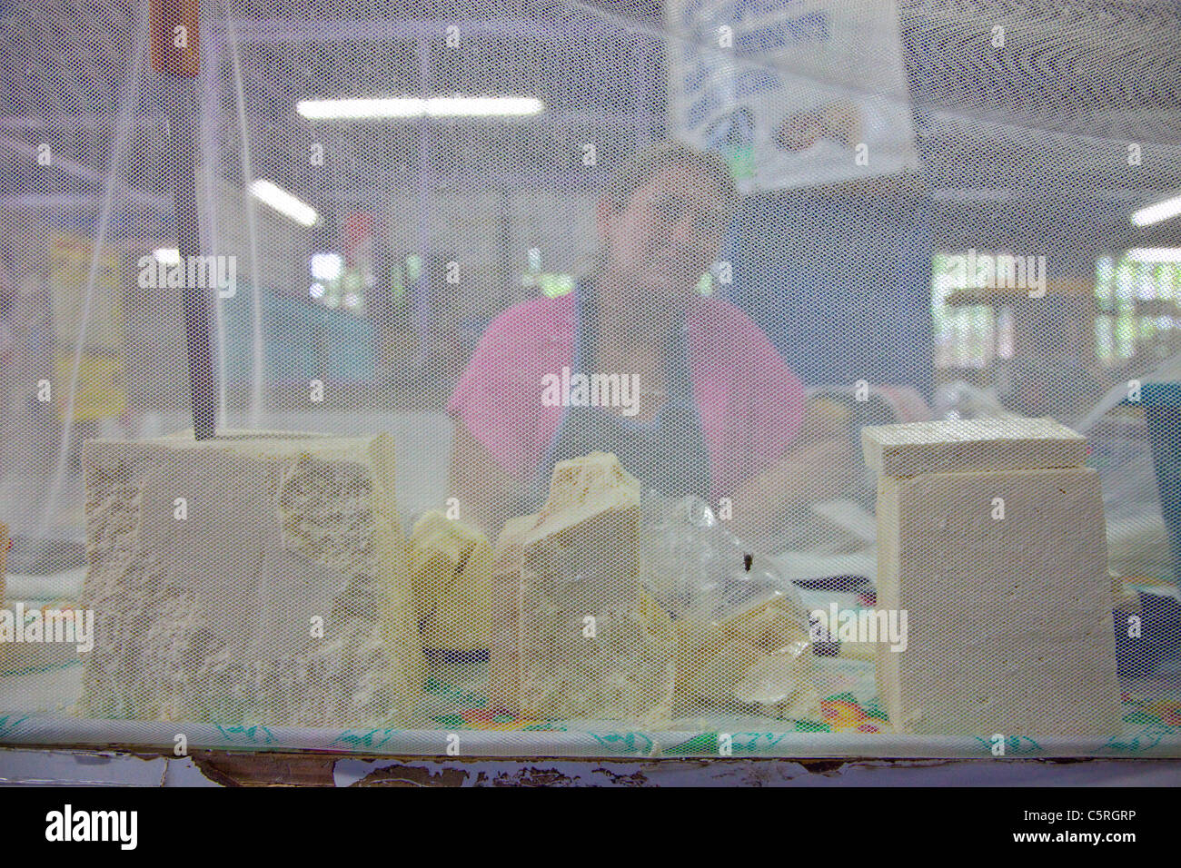 Fly net cubriendo el queso en el mercado Chaltenango Chaltenango, departamento, El Salvador Foto de stock