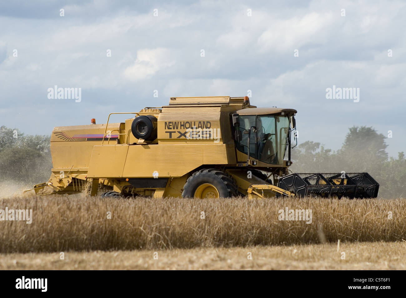 New Holland TX65 cosechadora cosecha trigo en Norfolk, Reino Unido. Foto de stock