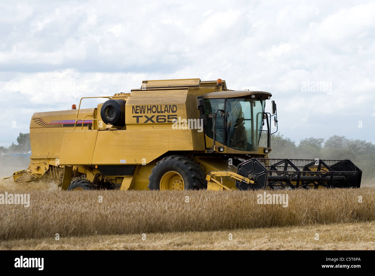 New Holland TX65 cosechadora cosecha trigo en Norfolk, Reino Unido. Foto de stock