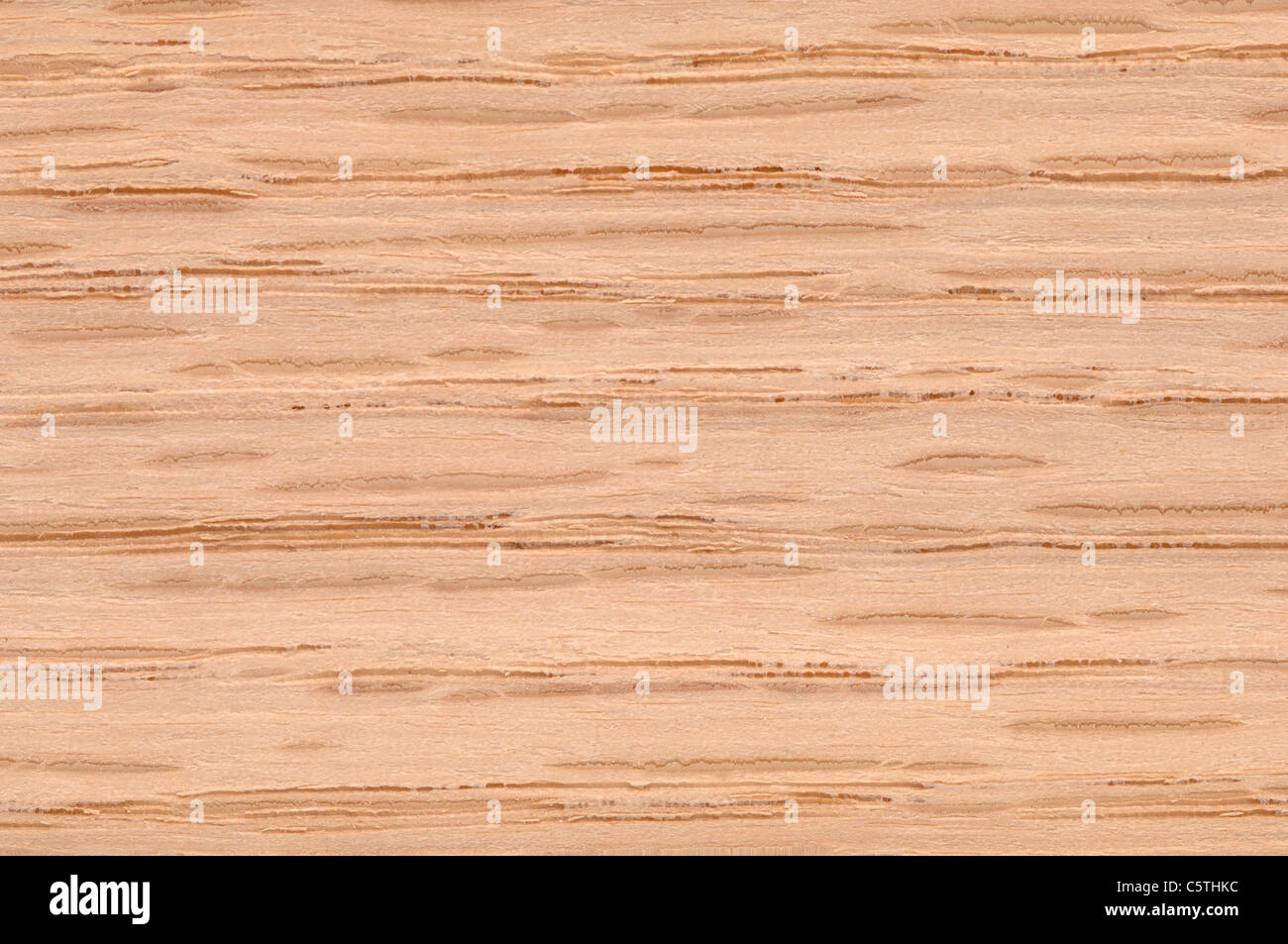 Superficie de madera, el roble rojo (Quercus rubra) full frame Foto de stock