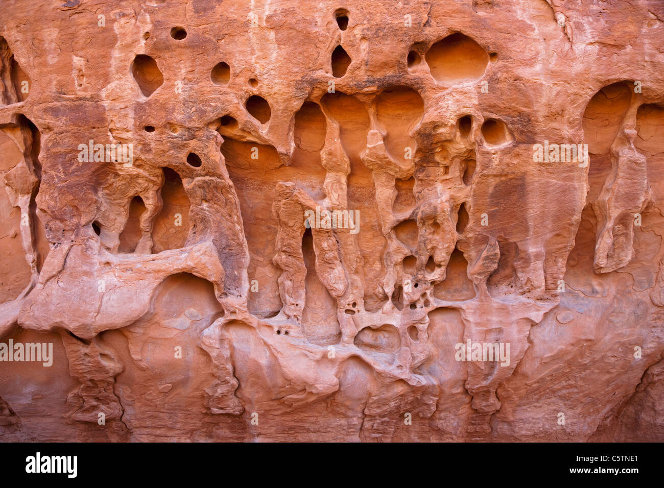 Estados Unidos, Utah, el Parque Nacional de Arches, agujeros en la roca, full frame, close-up Foto de stock