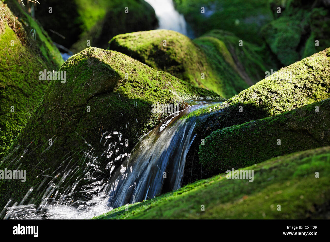 Alemania, en la Baja Baviera, vista de la cascada en el bosque bávaro Foto de stock