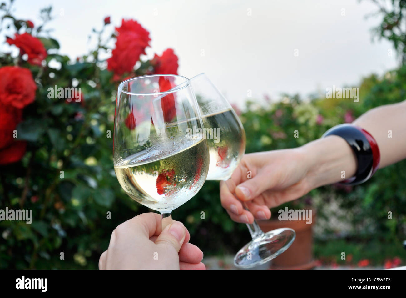 Dos Mujeres Brindando Con Copas De Vino Fotografia De Stock Alamy No se si lo han subido, si es asi perdonenme, el video es muy bueno pero por favor no lo miren mientras esten comiendo https www alamy es foto dos mujeres brindando con copas de vino 38045590 html