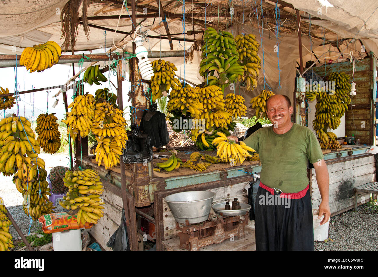 El sur de Turquía banana tree farm bananas farmer market tienda entre Antalya y Alanya Foto de stock