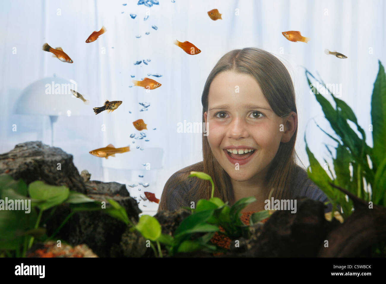 Chica (8-9), viendo peces, vista a través de Fish Tank Foto de stock