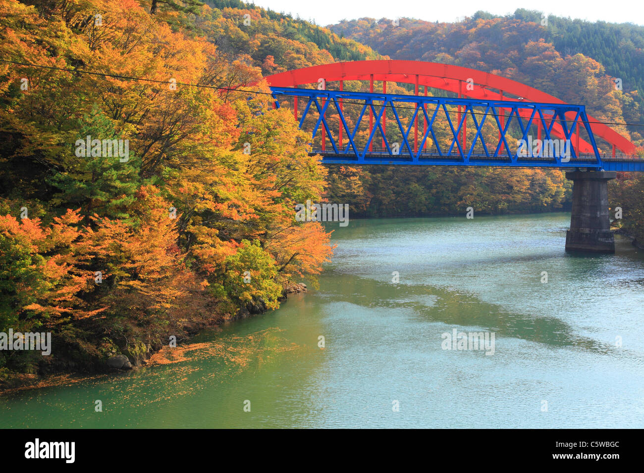 Hojas de Otoño y Arakawa, Barranco, Iwafune Sekikawa, Niigata, Japón Foto de stock