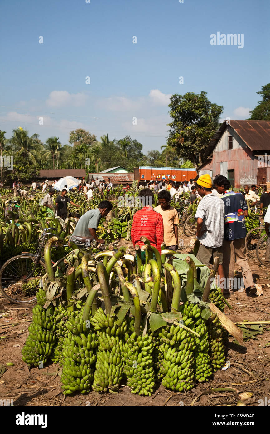 Mercado de la banana en una de las aldeas de Assam, al noreste de la India. Foto de stock