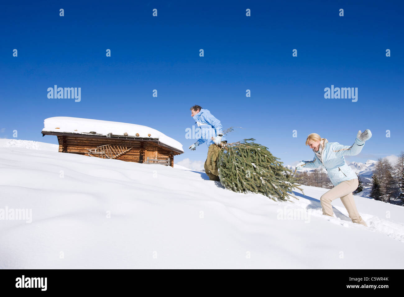 Italia, el Tirol del Sur, Seiseralm, par llevar árbol de Navidad en la nieve Foto de stock