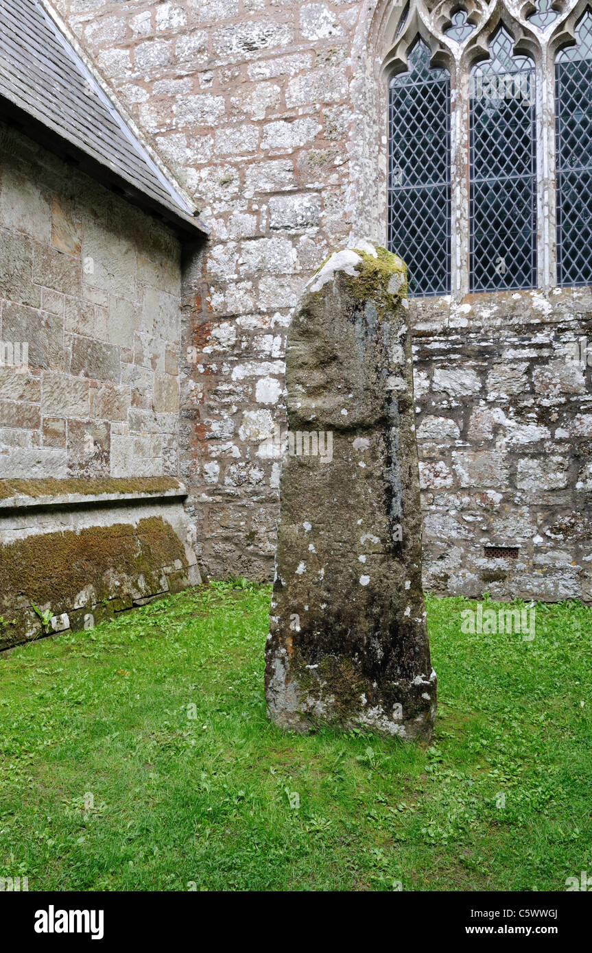 Un pilar de piedra Vitalinus piedra escritas con alfabeto latino y Ogham St Brynach Iglesia Nevern Cymru de Gales pembrokeshire REINO UNIDO GB Foto de stock