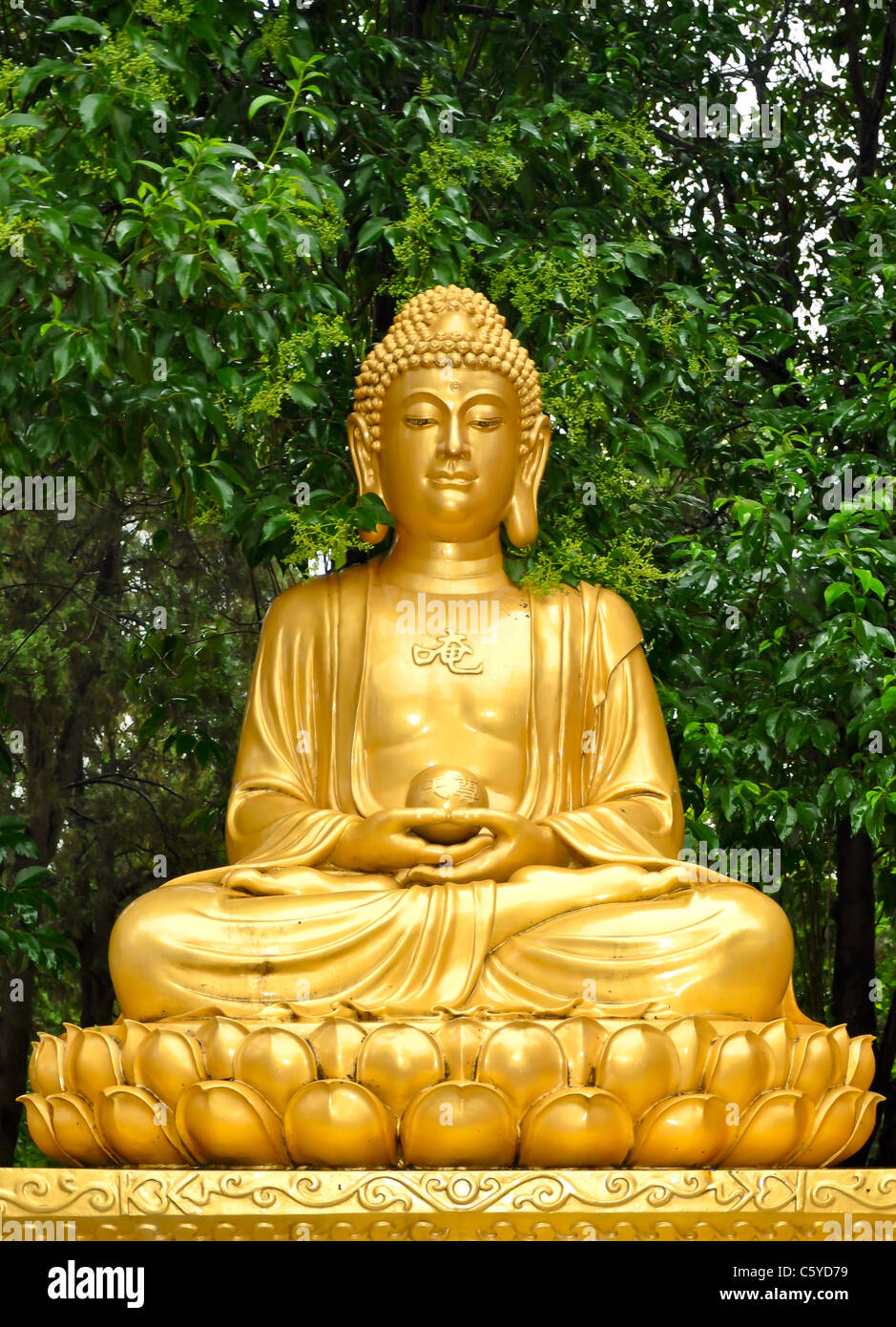 Estatua dorada de un buda sentado meditando en un jardín. Foto de stock