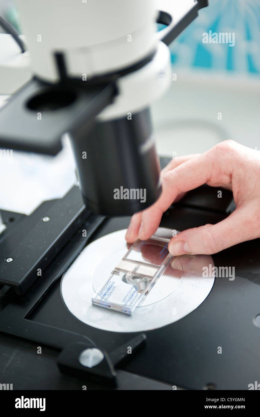 Microscopio moderno con portaobjetos de vidrio en mesa blanca en  laboratorio Fotografía de stock - Alamy
