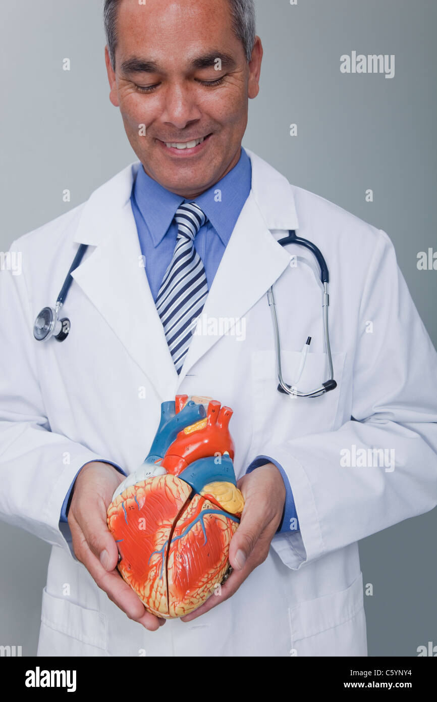 Ee.Uu. California, Larkspur, Doctor sosteniendo el modelo de corazón Foto de stock