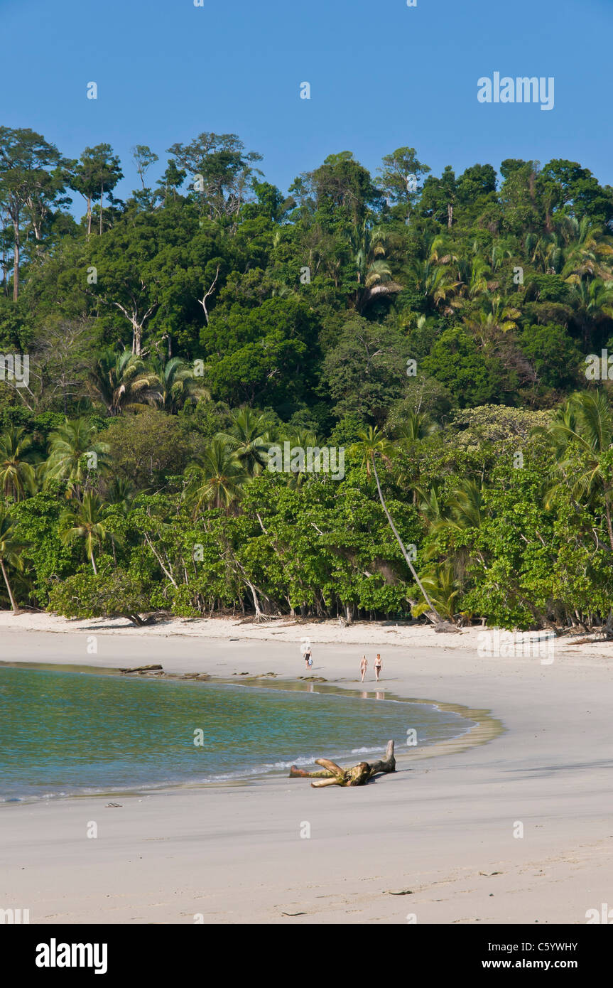 Playa de arena blanca, el Parque Nacional Manuel Antonio Puntarenas Costa Rica Foto de stock