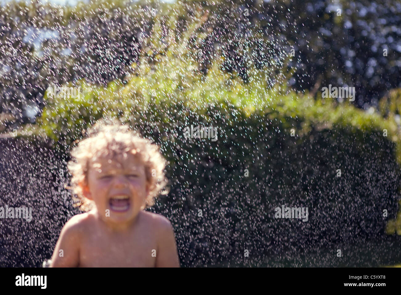 Niño juega con agua en el jardín el verano riendo spray Foto de stock