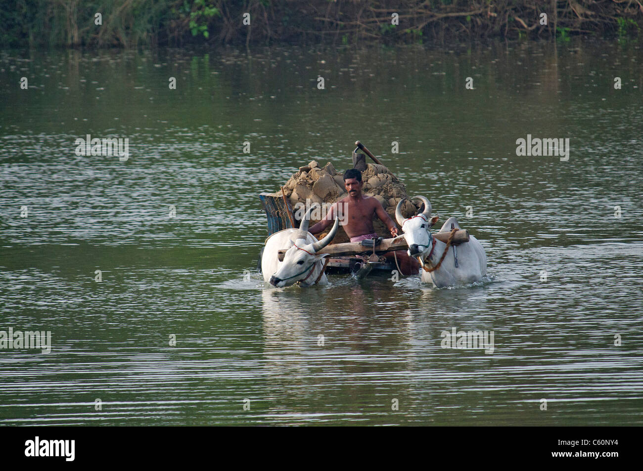 La carga de sedimentos del río Vennar Thanjavur Tamil Nadu en el sur de la India Foto de stock
