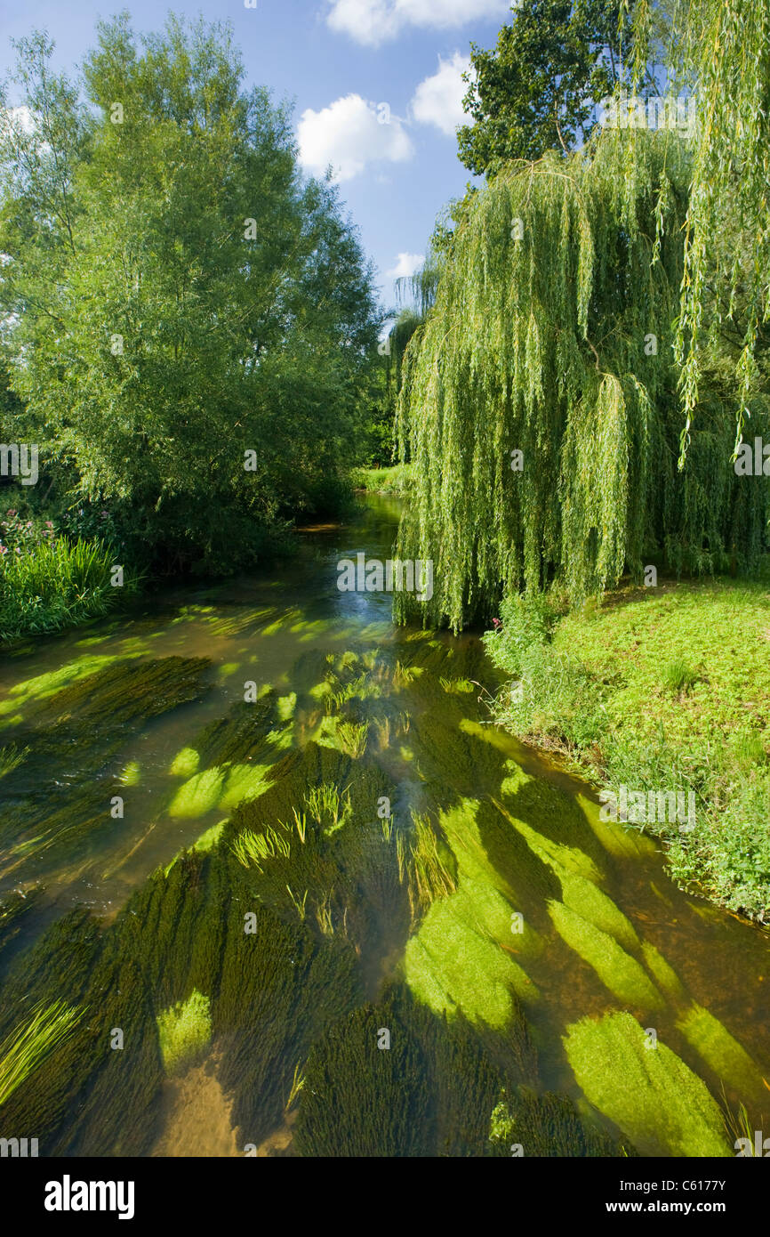 Río Wey en Elstead, Surrey, Reino Unido. Foto de stock