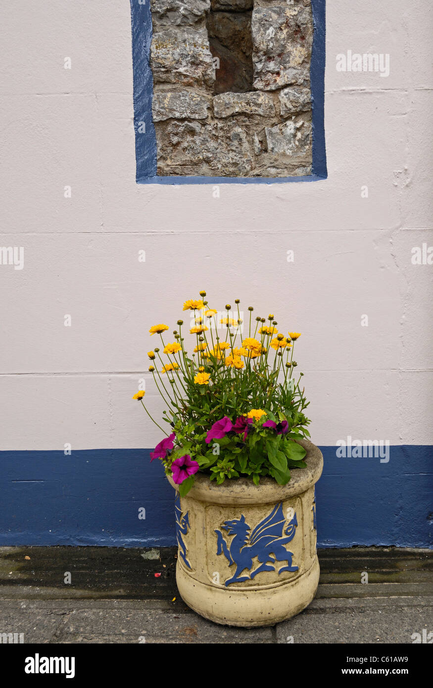 Pote De la flor de color crema con un grabado de un dragón azul y amarillo/rojo flores plantadas. Foto de stock