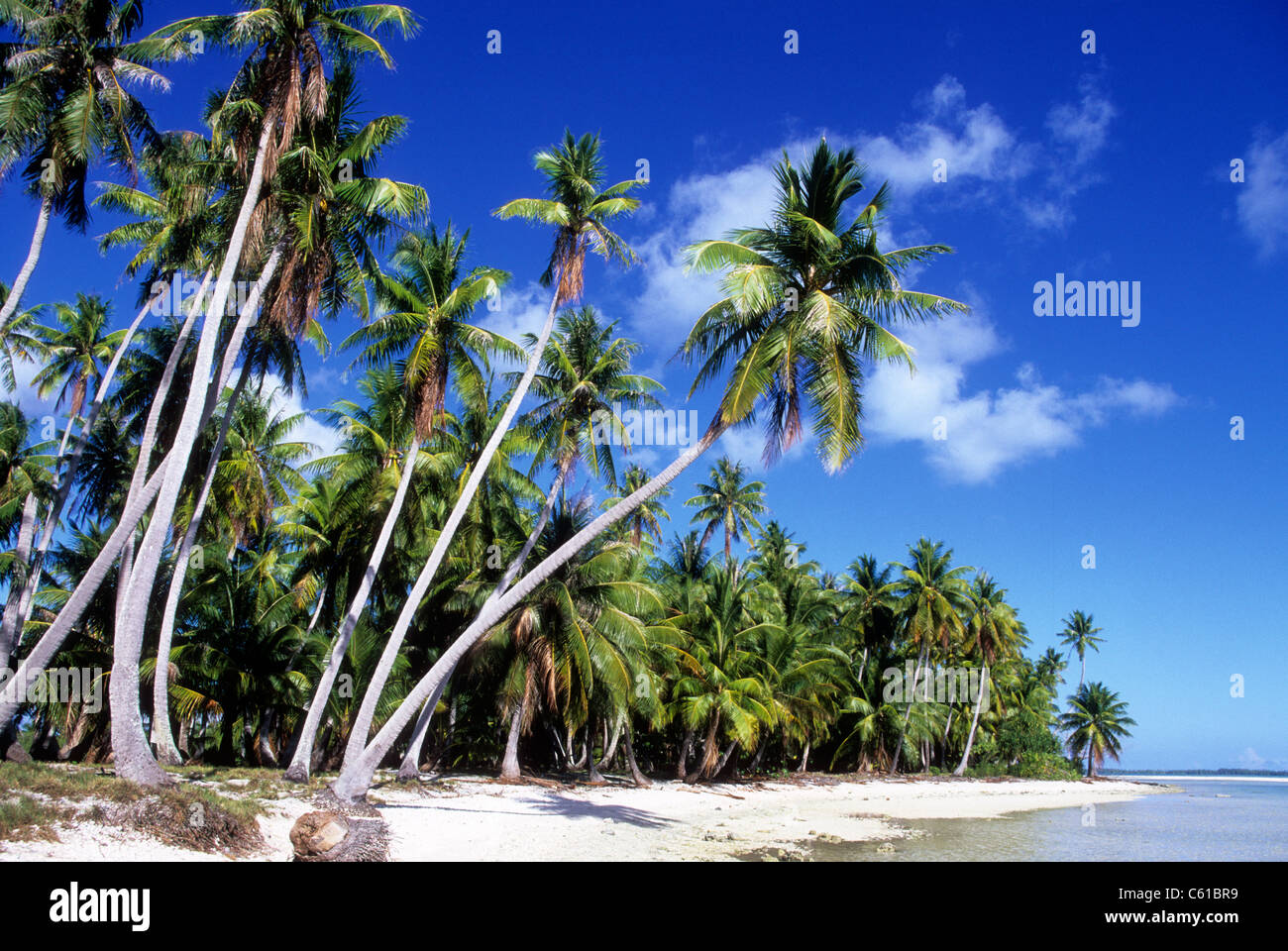 La Isla de Tetiaroa, Marlon Brando, Polinesia Francesa Foto de stock