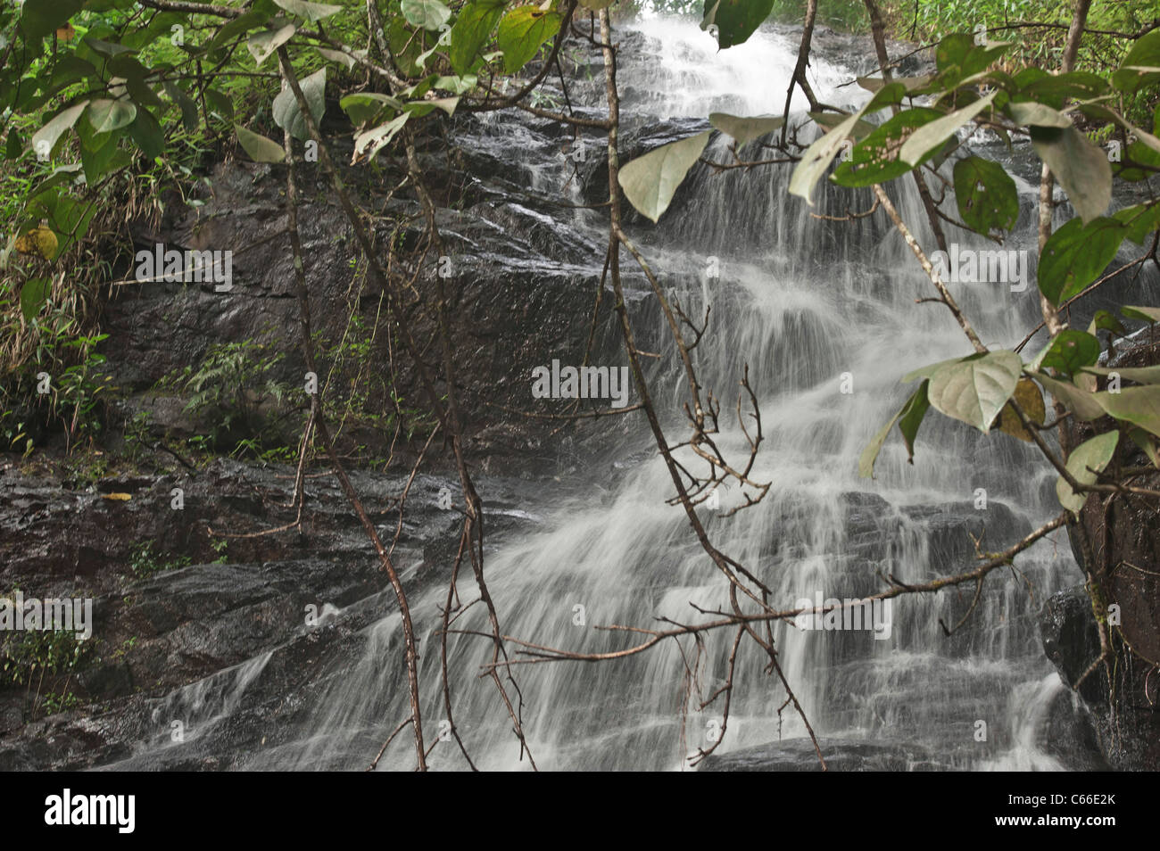 Murmullo de agua de cascada en cascada en Ghat rock Foto de stock