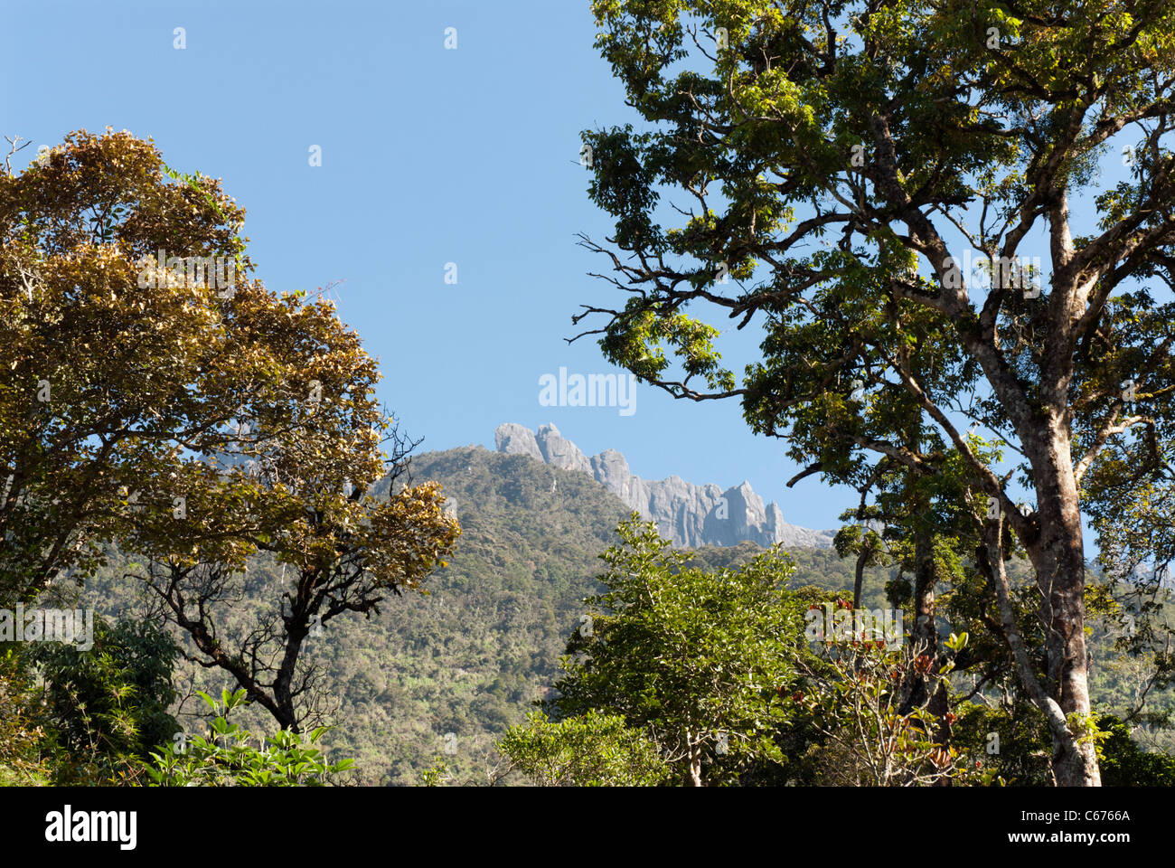 Bosque pluvial montano fotografías e imágenes de alta resolución Alamy