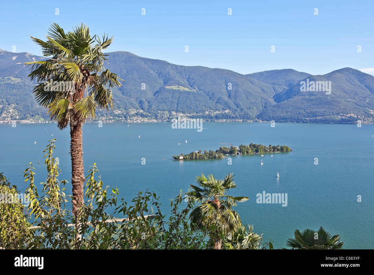 Vista de la Isole di Brissago y el Lago Maggiore Foto de stock