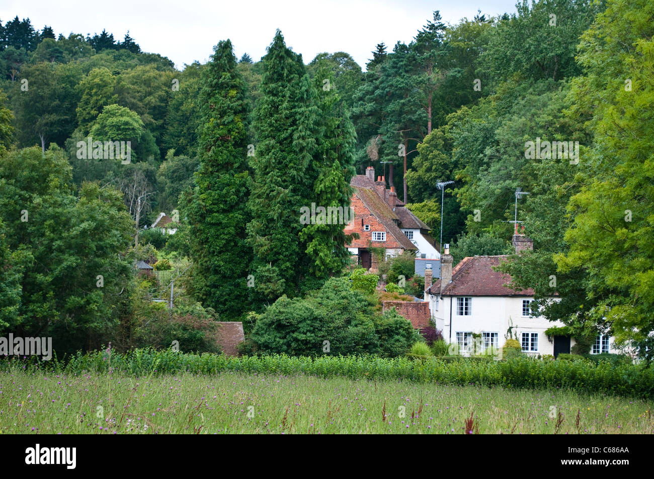 Casas rurales cerca de Guildford, Surrey, Reino Unido Foto de stock