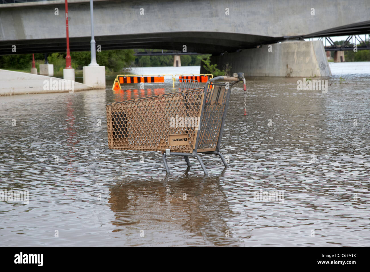 Abandonado safeway carrito de compras en el río rojo en la inundación en las horquillas de Winnipeg, Manitoba, Canadá Foto de stock