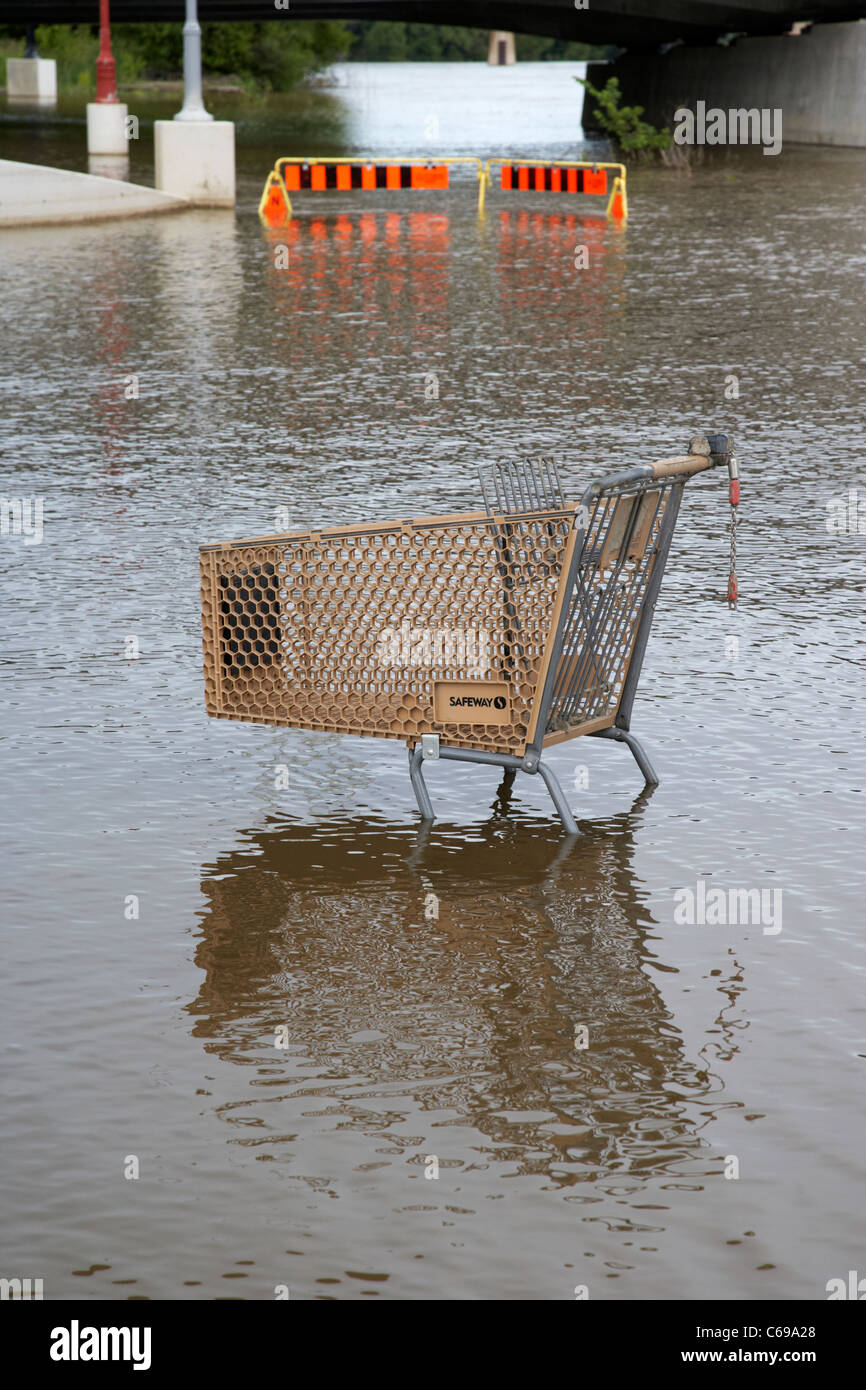 Abandonado safeway carrito de compras en el río rojo en la inundación en las horquillas de Winnipeg, Manitoba, Canadá Foto de stock