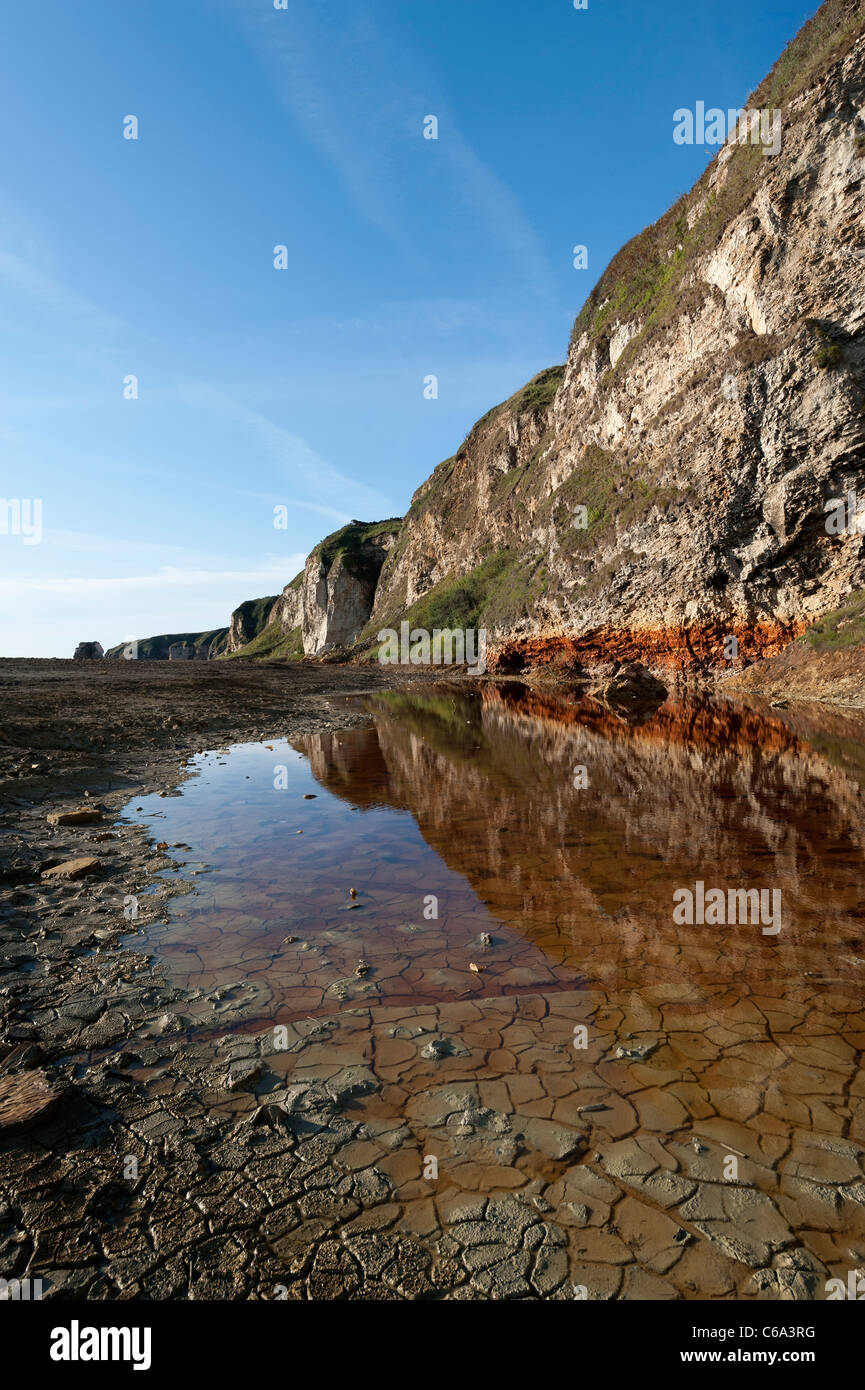 Calizas erosionadas,los acantilados de la playa cerca de Blast Seaham en el Condado de Durham Foto de stock